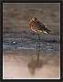 grutto4x3_MG_4681