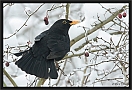 merel_MG_6912
