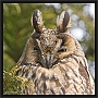 ransuil_MG_2850
