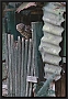 steenuil_MG_1249