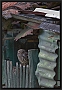 steenuil_MG_1282