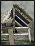 steenuil_MG_6230-2