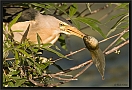 woudaap2_MG_3794