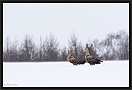 zeearend_MG_1792