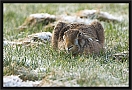 haas_MG_9945