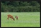 ree_MG_0743