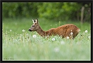 ree_MG_1532