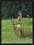 ree_MG_1795