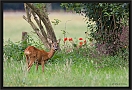 ree_MG_6250