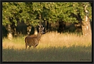 ree_MG_6803