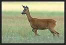 ree_MG_6825