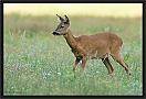 ree_MG_6849