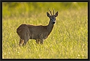 ree_MG_6880