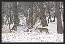 ree_MG_6997
