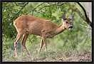 ree_MG_7246