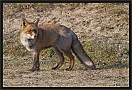 vos_MG_7899